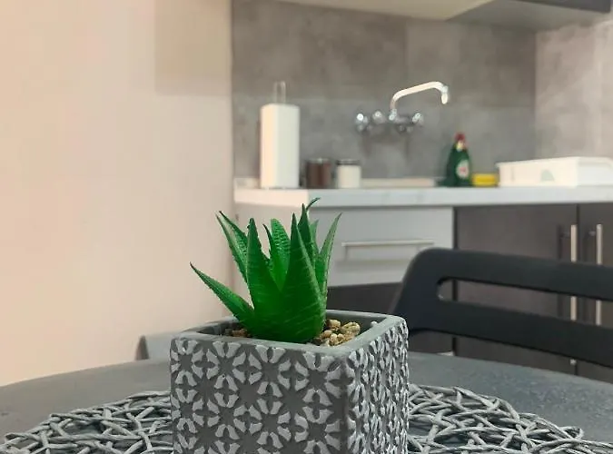 Apartamento Petra's House *